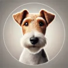 Fox Terrier Fox Terrier