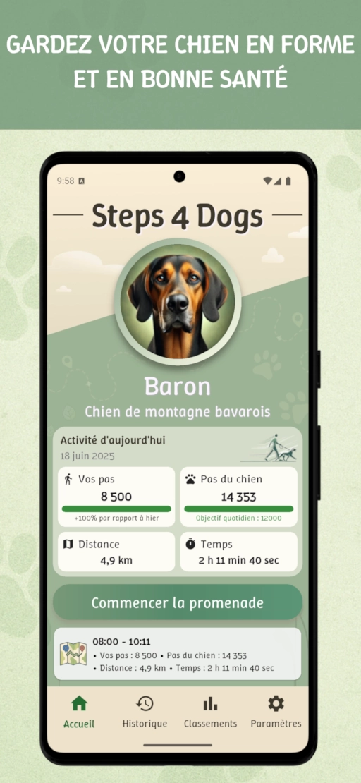 Steps4Dogs – améliorez la forme de votre chien