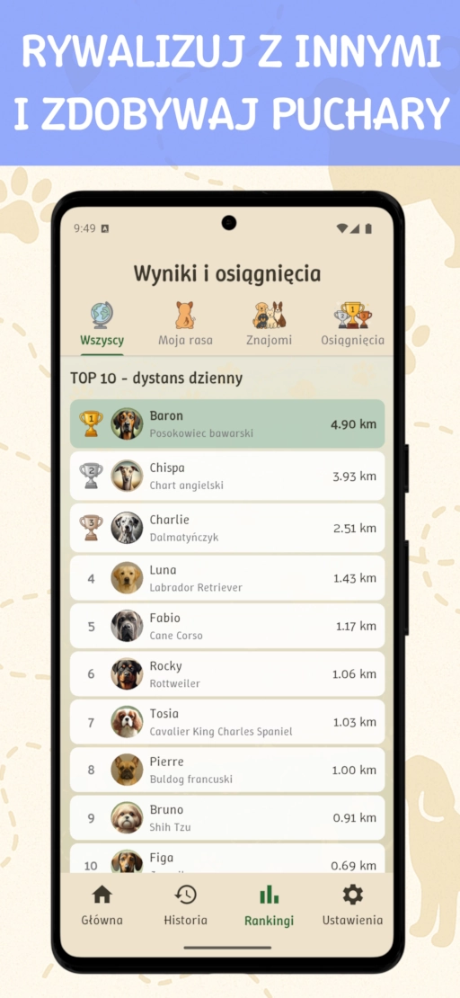 Zrzut ekranu 6