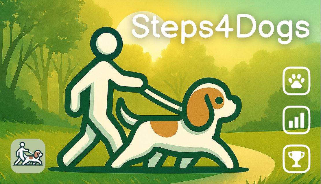 Sunset walk with your dog